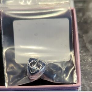 Pandora Marvel Groot And Raccoon Charm Brand New